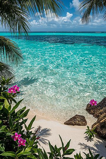 Tropical Beach Bliss: Your Ultimate iPhone Wallpaper Paradise