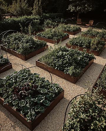 Elegant Potager Garden: Dream Backyard Vegetable Design