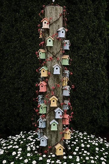 Colorful Birdhouses: Charming Garden Decorations for a Vibrant Yard
