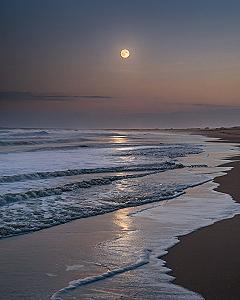 Why Night Moon Beach Wallpapers Work So Well on Phones