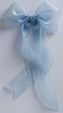 Adding Soft Blue Bow Accents to Your Daily Setup
