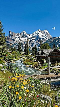Booking Unique Cabin Retreats Along the West Coast