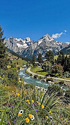 Framing Mountain Valleys with Wildflowers