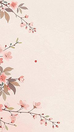 Soft Cherry Blossom Branches for a Peaceful Desktop