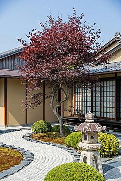 Front Yard Makeover: Stunning Small Japanese Garden Ideas