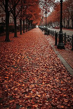 Charming Autumn Street: Pretty Wallpaper Backgrounds & Fall Phone Wallpaper