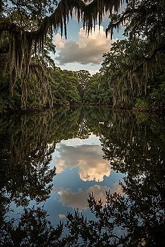 Tranquil Lake Landscape: Peaceful Pond Scenery for Cottagecore Dreams