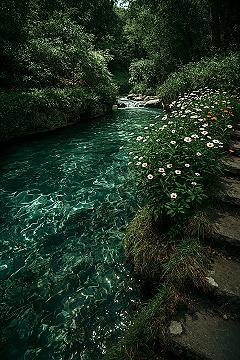 Fantasy Forest Landscapes: A Springtime Dream