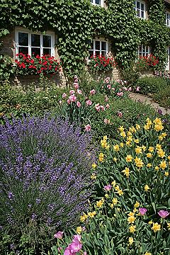How to Start a Cottage Garden: Enchanting English Design & Container Flowers