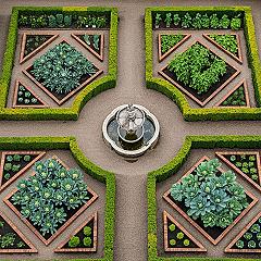Elegant Backyard Raised Garden: Parterre Layout Design