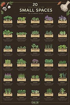Amazing Small Space Vegetable Gardens: DIY Decor & Planning