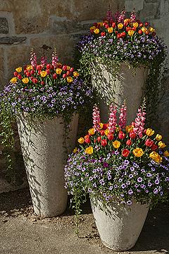 Vibrant Spring Planter Ideas: Garden Bath & Pansy Planter Delights for 2026