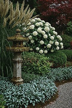 Essential Japanese Garden Plants for a Lush Backyard