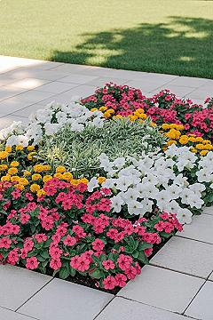 Vibrant Spring Flower Beds: Inspiring Garden Design