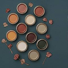 Warm Tone Color Palette for 2024 Home Design Trends
