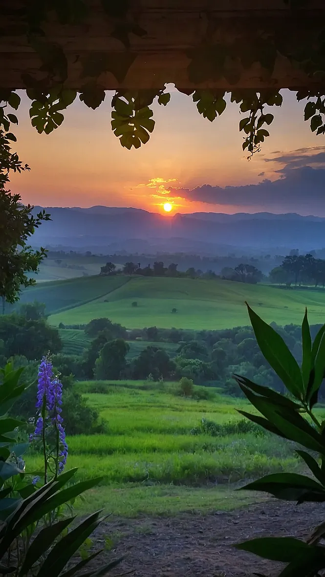 Picture Perfect Bliss