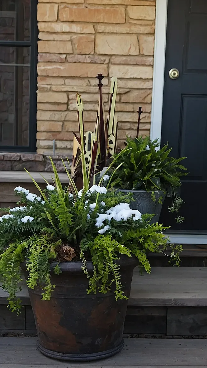 Winter Porch Dreams: