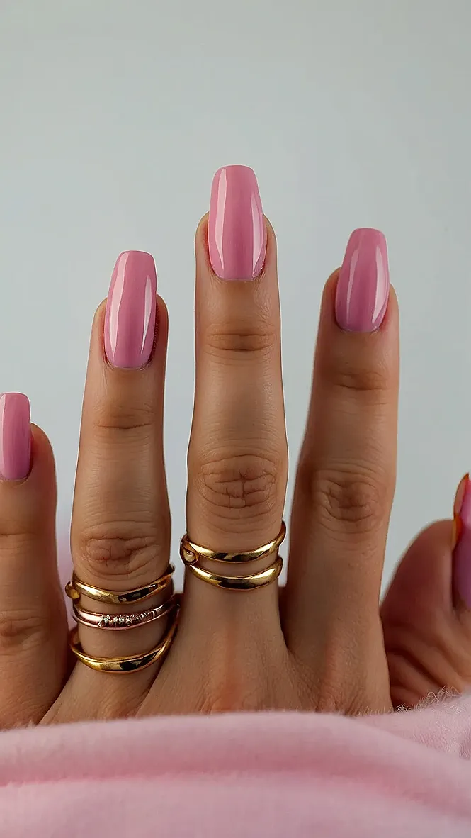 Pink Rose Reflection