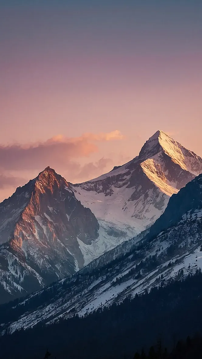 Meadow's Mountain Majesty