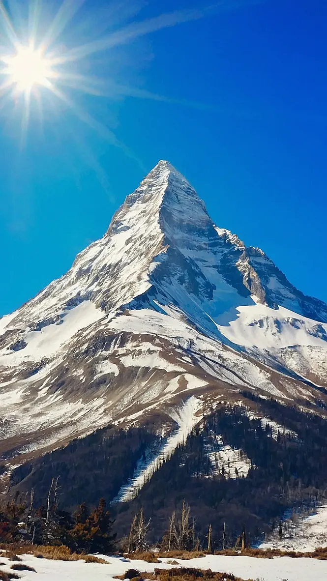 Majestic Mountain's Gaze