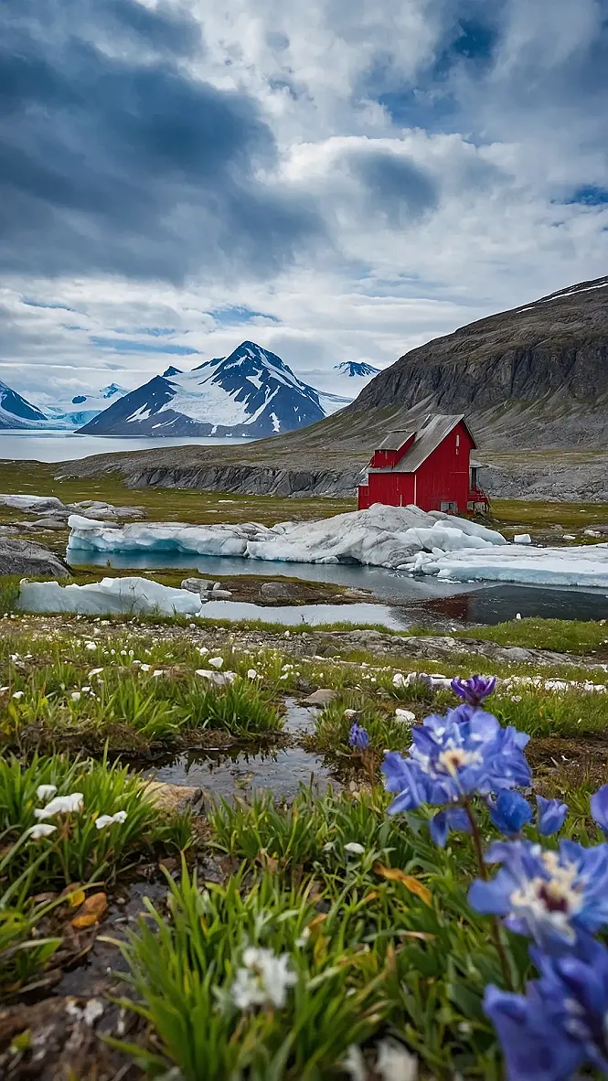 Polar Beauty Unveiled