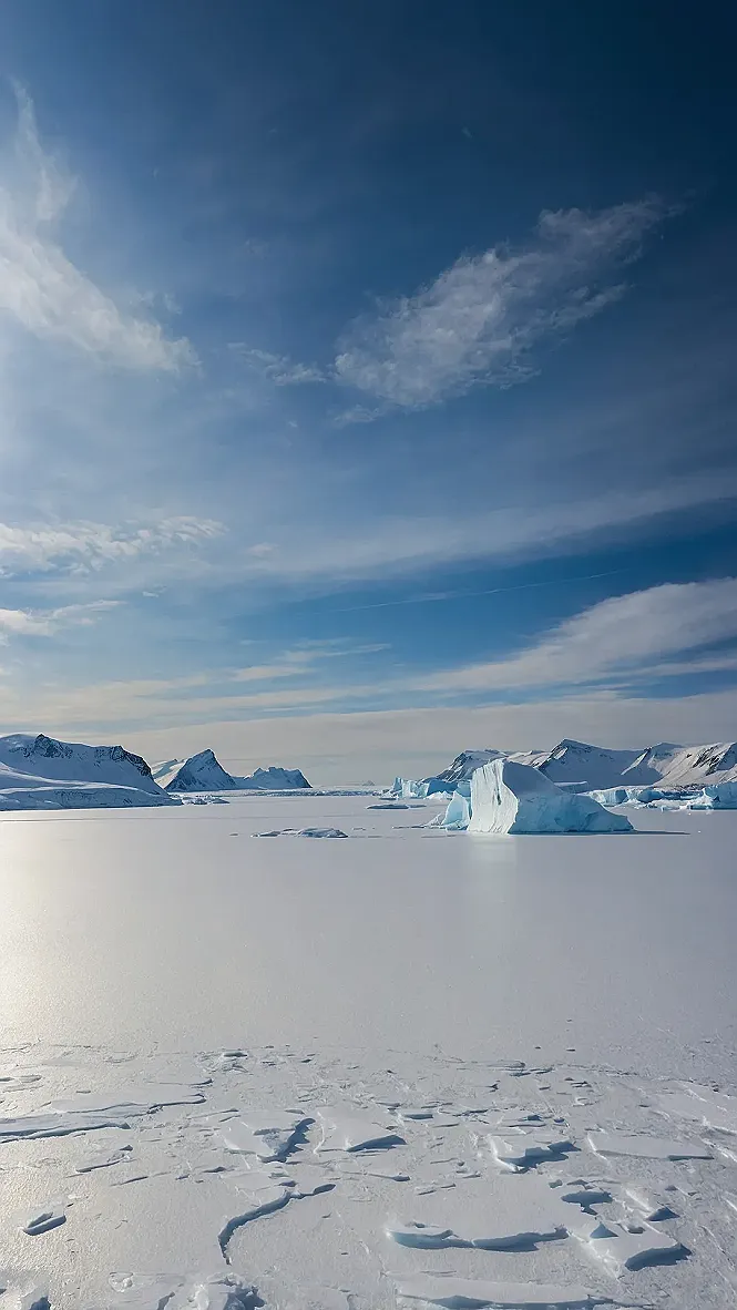 Arctic's Coolest Corner