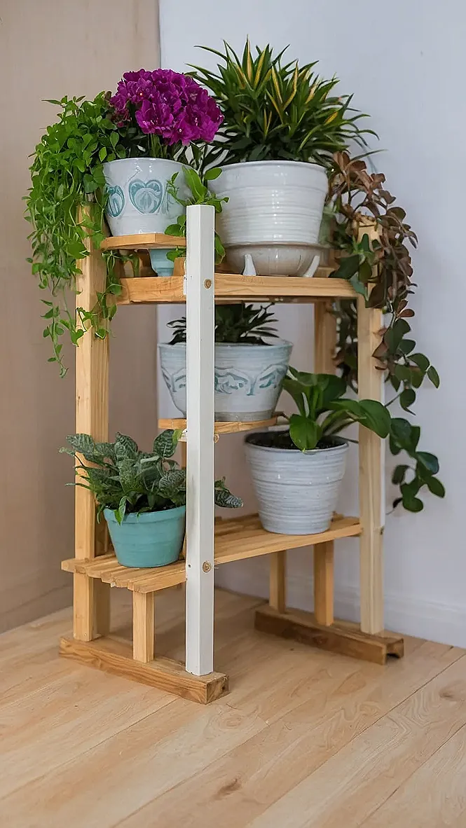 The Plant Stand