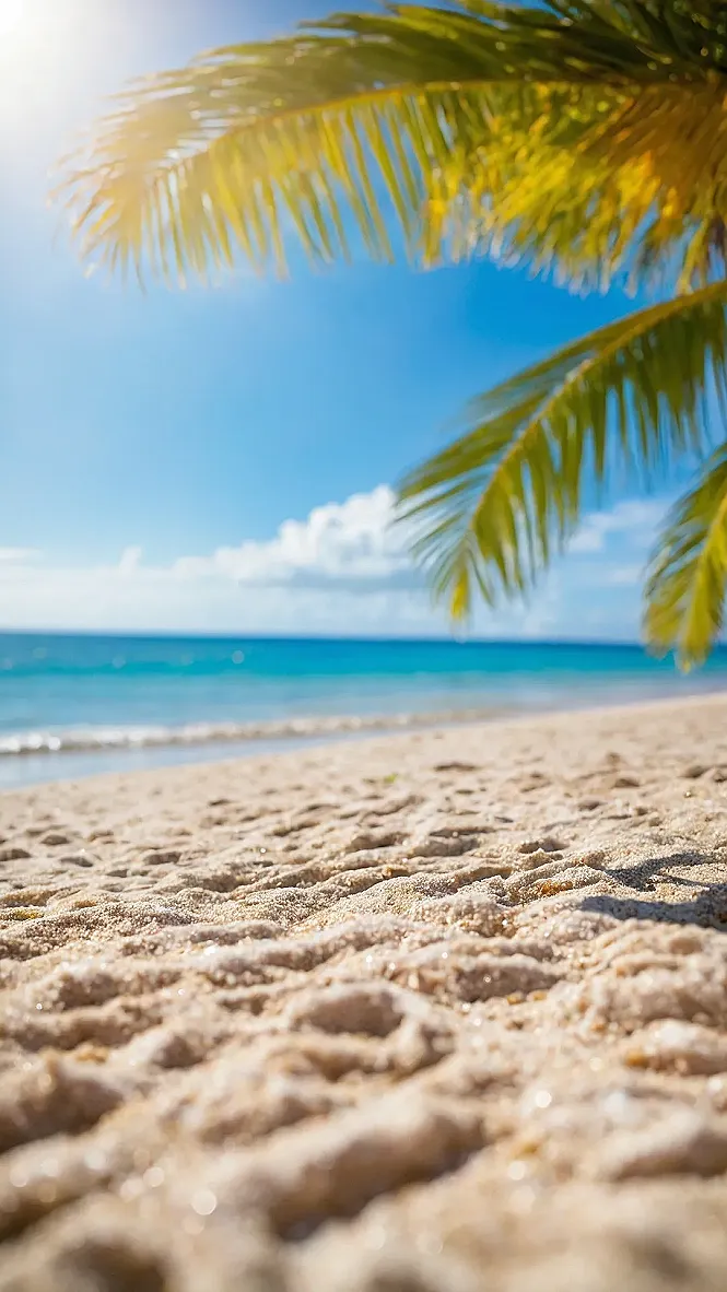Beach Grid vs. Reality