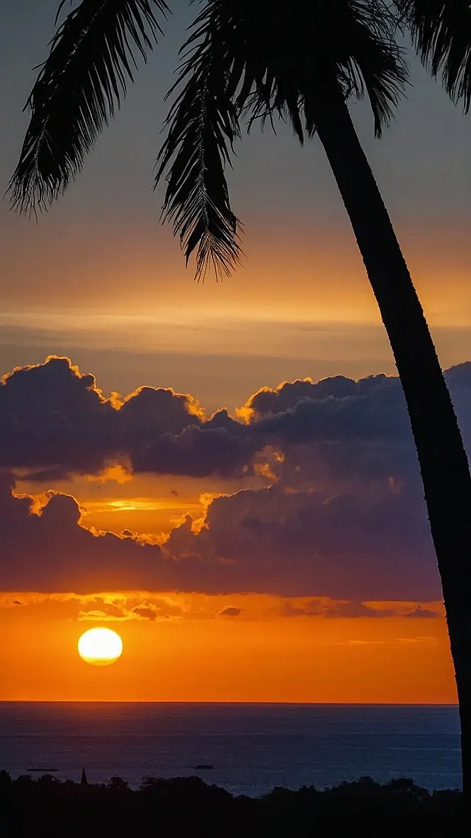 Palm's Final Curtain