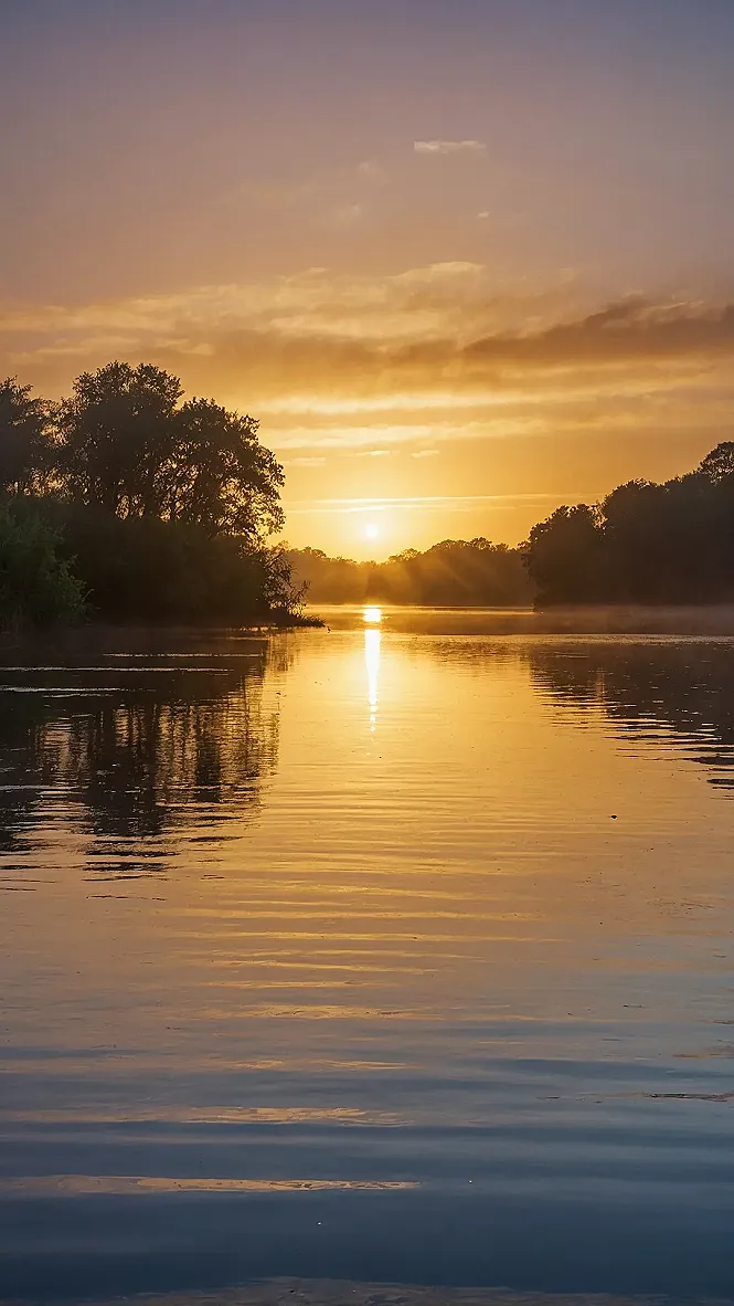 Snooze Button Ballet