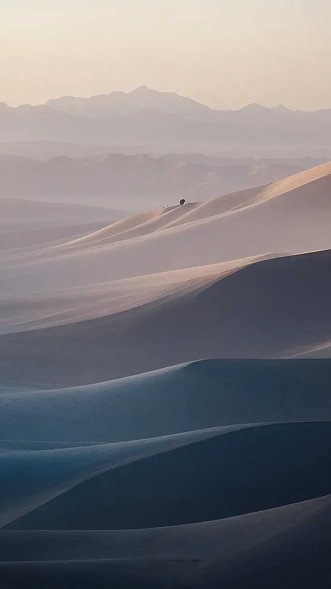 Sand Dunes Simplicity: