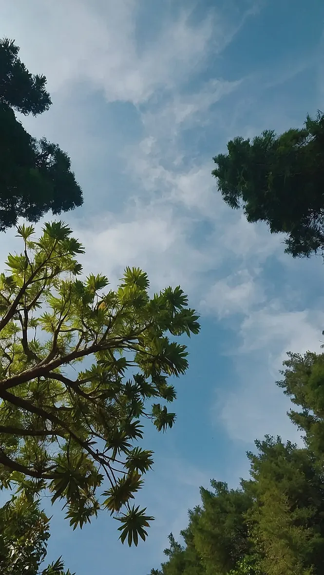 Wilderness Spotlight