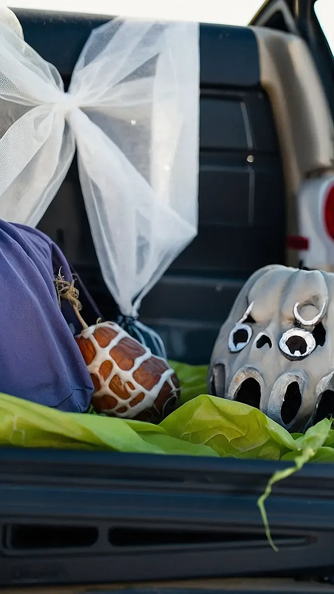 Jungle Trunk-o-Treat: