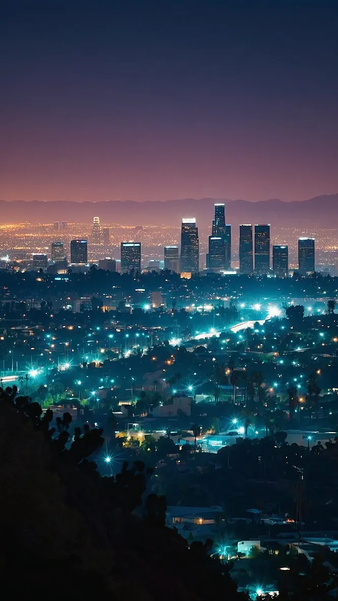 Concrete Jungle Oasis