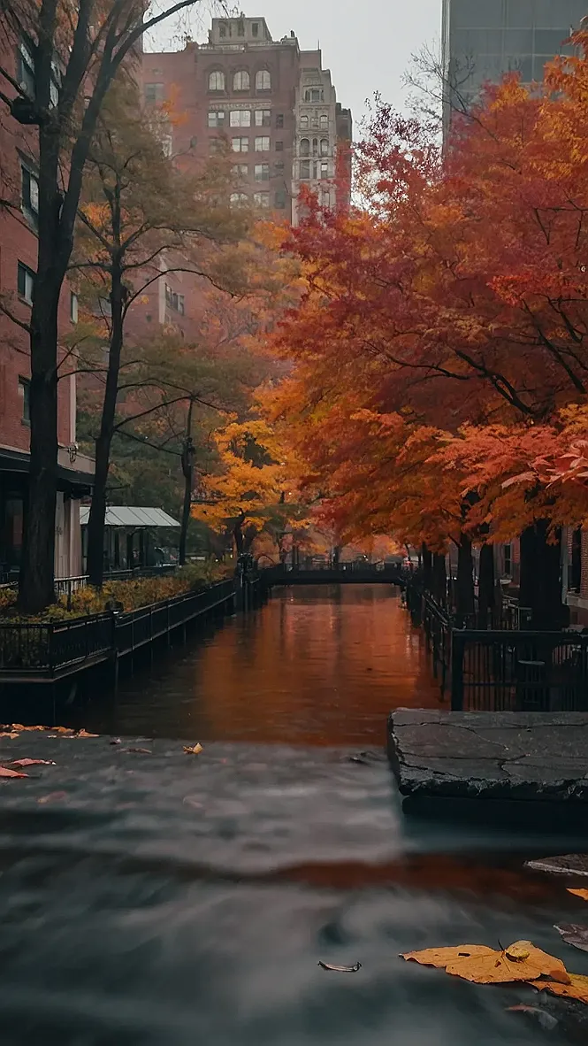 Cityscape Reflections: