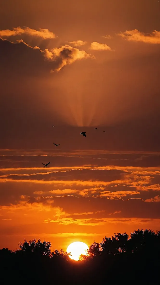 Sun-Kissed City Stroll