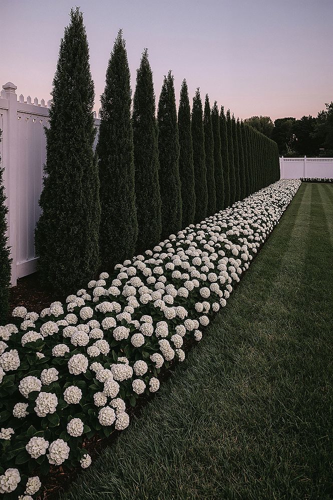 Elegant Front Yard Garden Layouts: Boost Curb Appeal