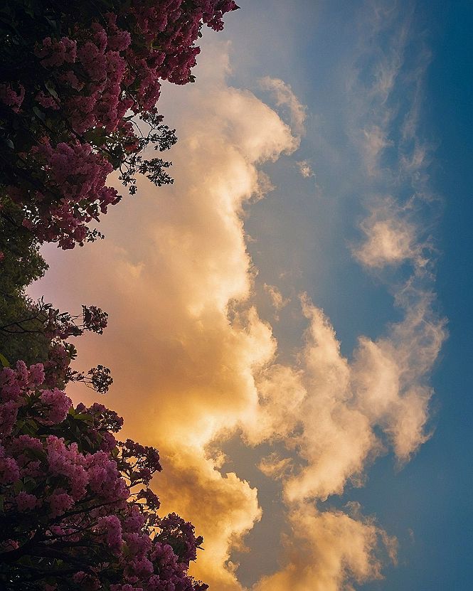 Pairing Coastal Skies With Blue Butterfly Photography