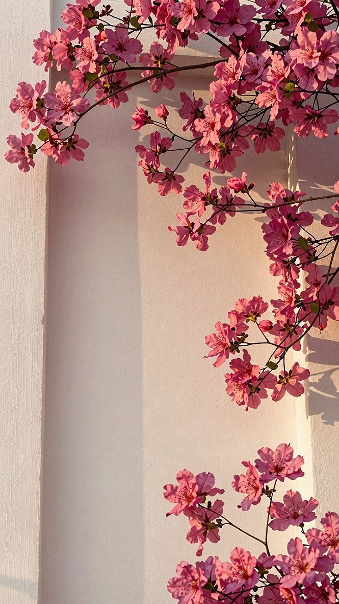 Bringing Botanical Charm into Your Home with Pink Blossom Art