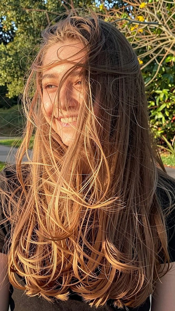 Sleek Brown Blowout With Long Soft Layers