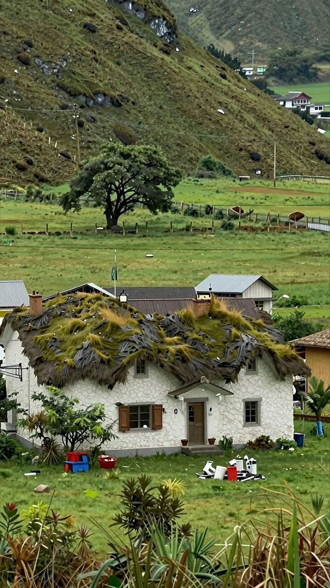 Integrating Natural Sod Roofs Into Highland Living
