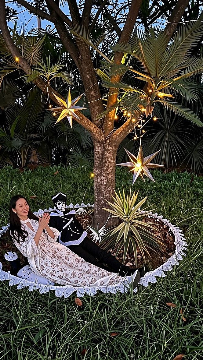 Hanging Garden Lights and Star Lanterns