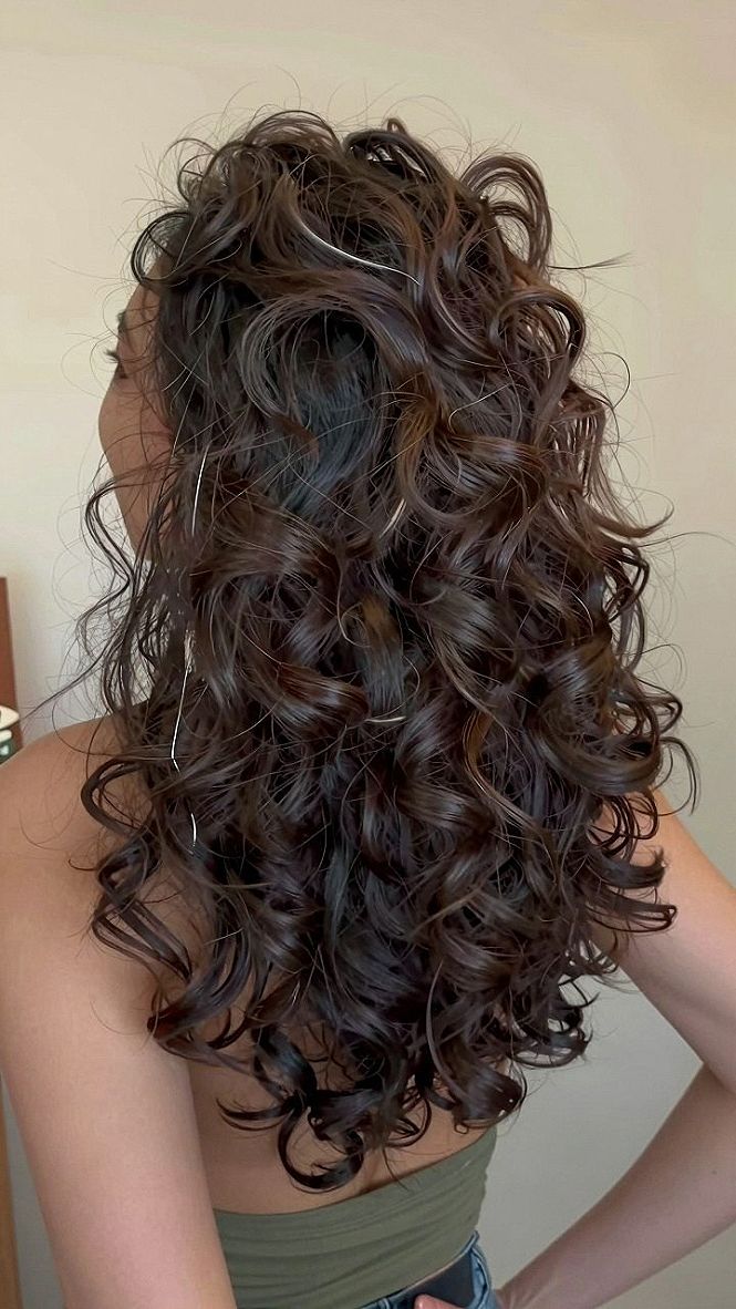 Voluminous Half-Up Style for Naturally Curly Hair