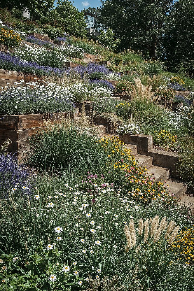 Natural Tiered Garden Designs for Stunning Hillside Backyards