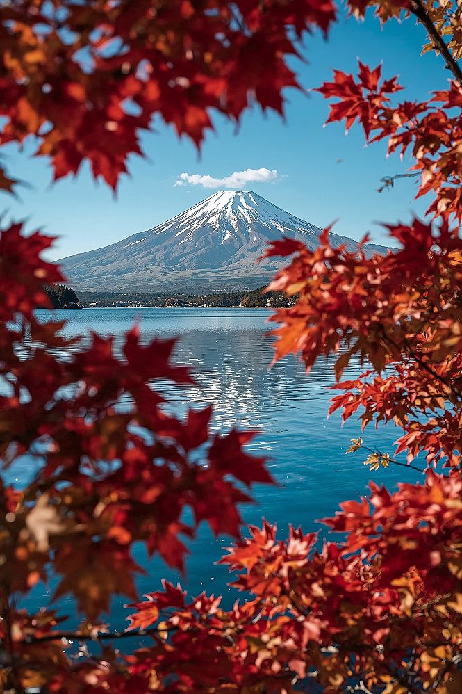 Japan Autumn Bliss: Mount Fuji's Reflection on Serene Lakeshores