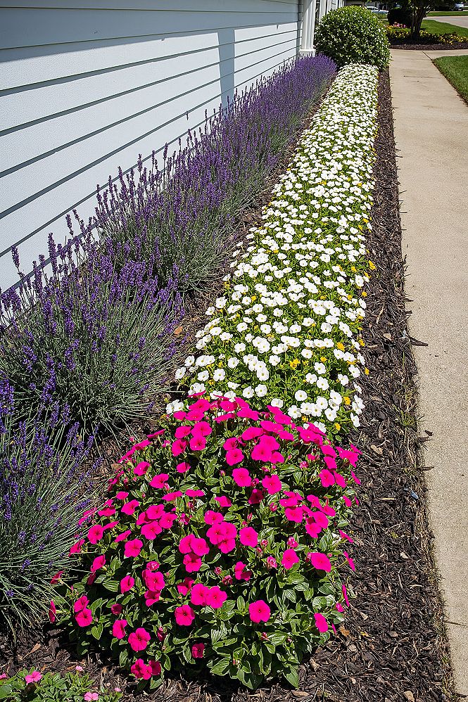 Stunning Front Yard Flower Bed Designs for Instant Curb Appeal