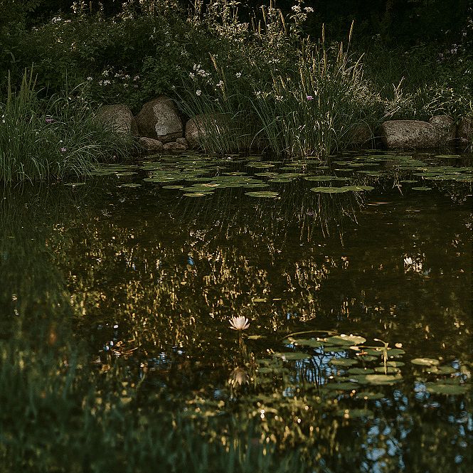 Enchanted Garden: Fairy Place with Golden Hour Light