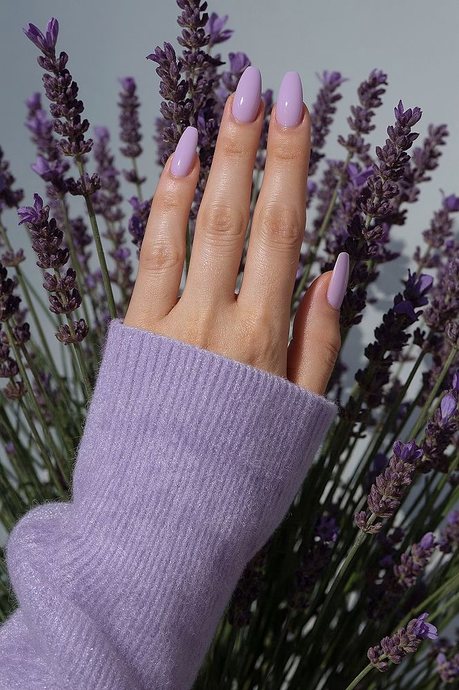Elegant Lavender French Tip Nails: Your Spring 2026 Essential