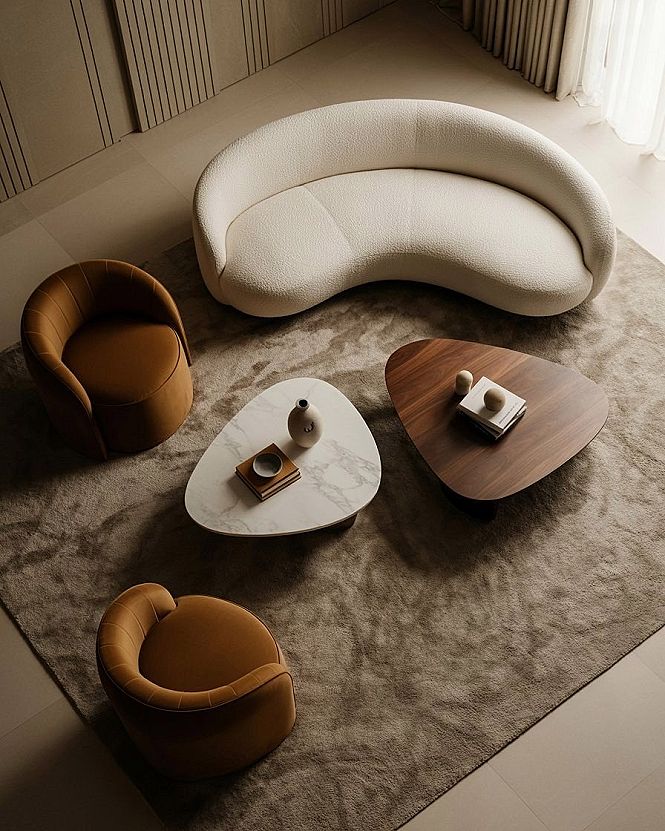 Modern Lounge Area with S Shape Sofas: High-End Apartment Style