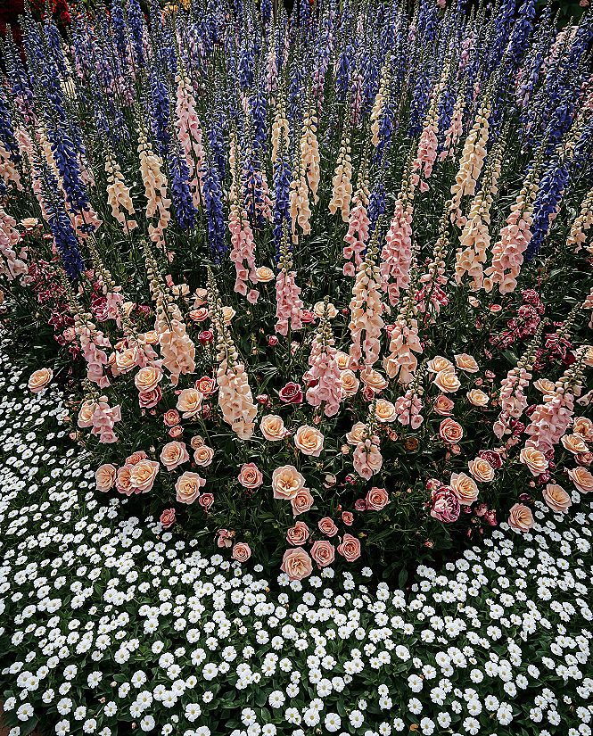 Enchanting Cottagecore Garden: A Perennial Bloom Paradise